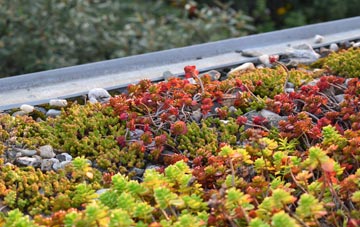 the cost of Talke Pits green roof installation