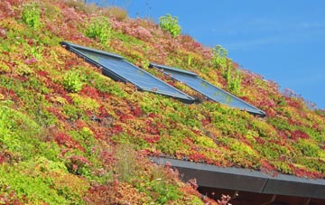 Talke Pits living roof systems
